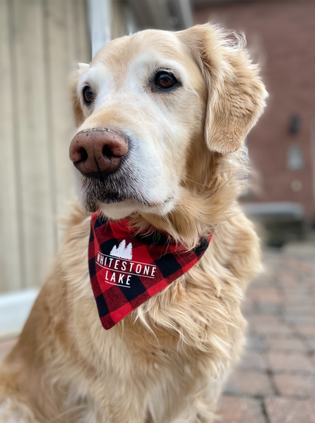 Dog Bandanas