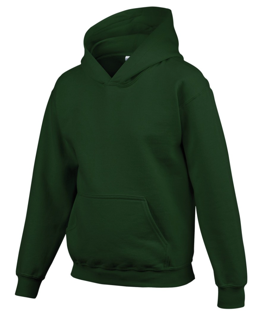 Green hoodie youth sales
